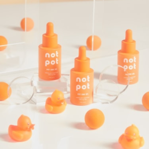 Bubble Pop Fidget Toy